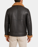 Oscar Zenith Brown Ginger back