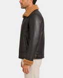 Oscar Zenith Brown Ginger side